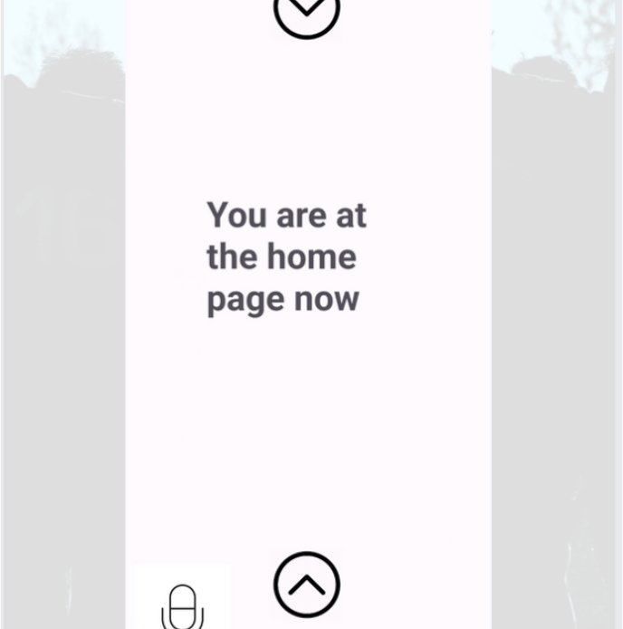 Theia Accessibility App